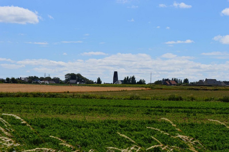 Les cultures légumières, Montfarville, Manche, Basse-Normandie