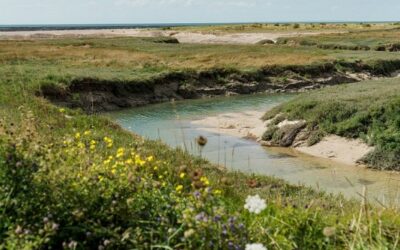 Le havre de Blainville-sur-Mer, Blainville-sur-Mer, Manche, Basse-Normandie